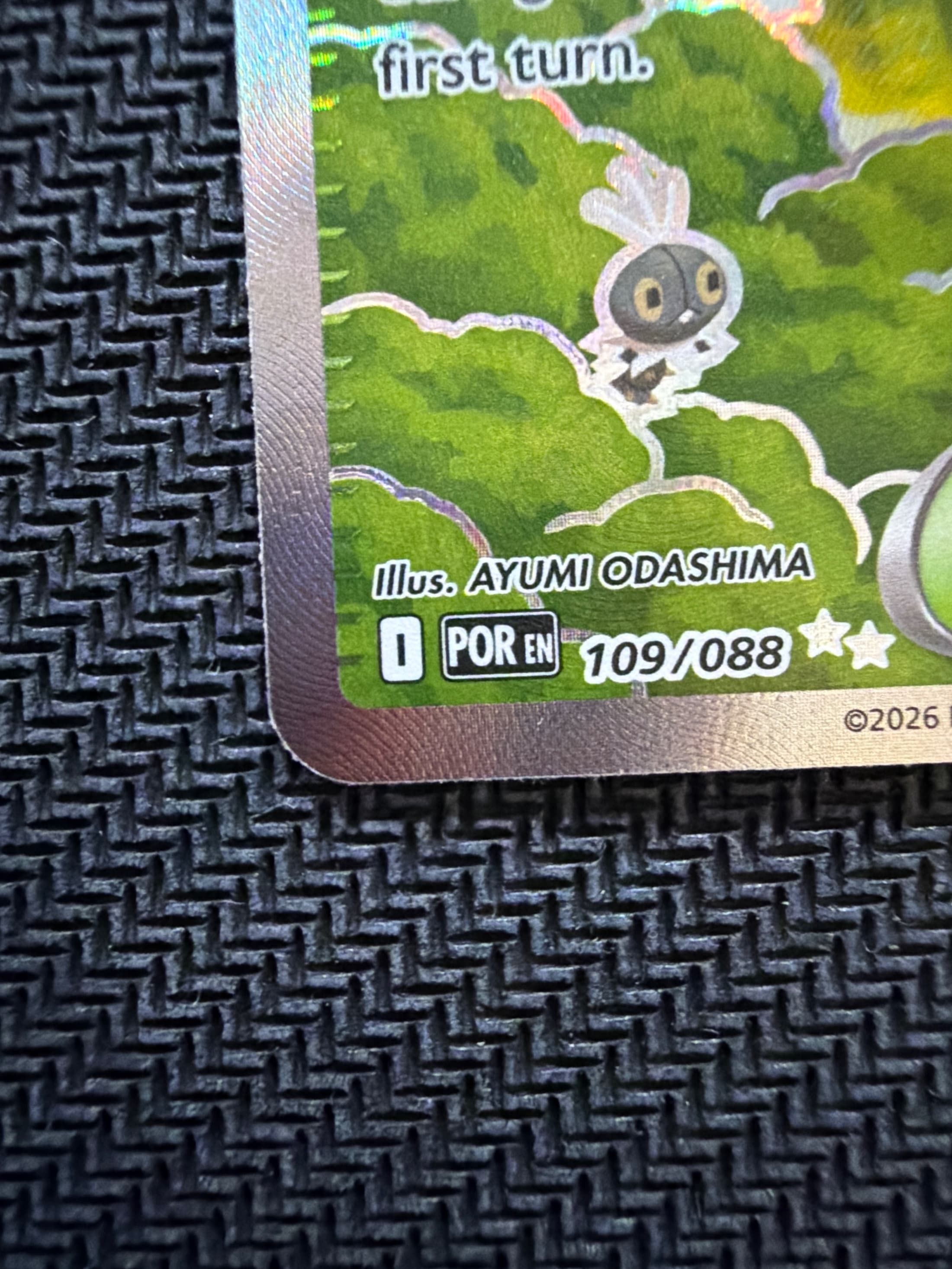 Roh levý dolní